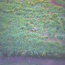 StillCut_0