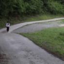 StillCut_2