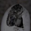 StillCut_0