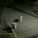 StillCut_1