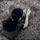 StillCut_0