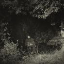 StillCut_5