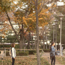StillCut_1