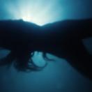 StillCut_5