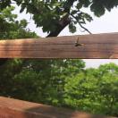 StillCut_2