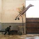 StillCut_11