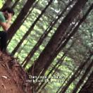 StillCut_1