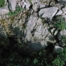 StillCut_4