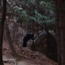 StillCut_1