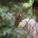 StillCut_1