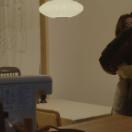 StillCut_4