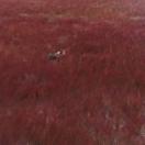 StillCut_2