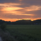 StillCut_7