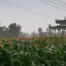StillCut_5