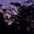StillCut_17