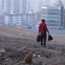 StillCut_0