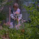 StillCut_5