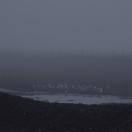 StillCut_14