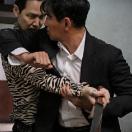 StillCut_19