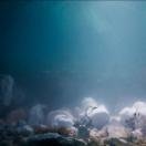 StillCut_20