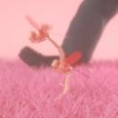 StillCut_0
