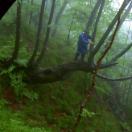 StillCut_24