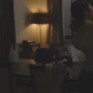 StillCut_2