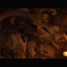 StillCut_5