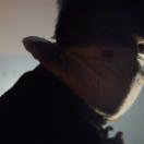 StillCut_9