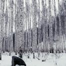 StillCut_5