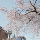 StillCut_11