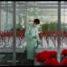 StillCut_6
