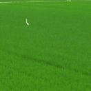 StillCut_12
