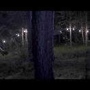 StillCut_9