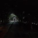 StillCut_5