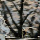 StillCut_7
