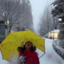 StillCut_8