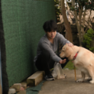 StillCut_0