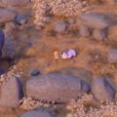 StillCut_6