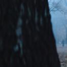 StillCut_4