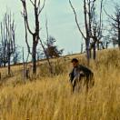 StillCut_7