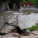 Afternoon_Landscape_05.jpeg
