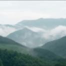 StillCut_7