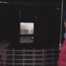 StillCut_8