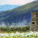 StillCut_8