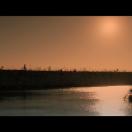 StillCut_9