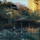 StillCut_0