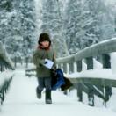 StillCut_8