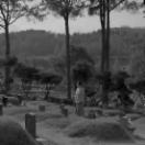 StillCut_9