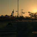 nasun_still4_1.85.1.jpg